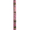 Billie Eilish dog leash, pink dog leash, printed pet leash, celebrity dog leash